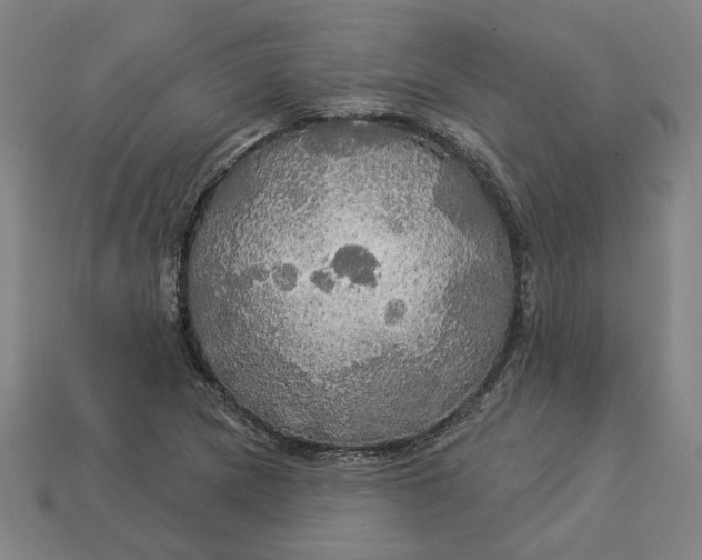 X0000113341217200910060951