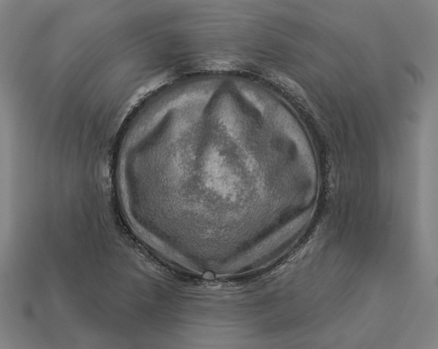 X0000113341218200910060951