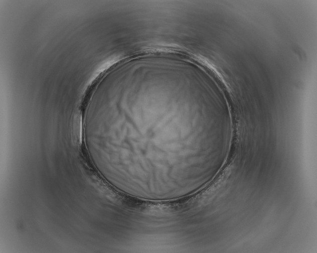 X0000113341219200910060951