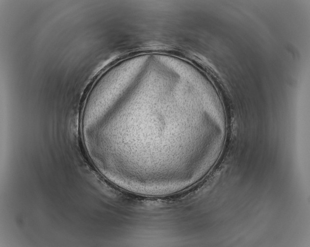 X0000113341220200910060951