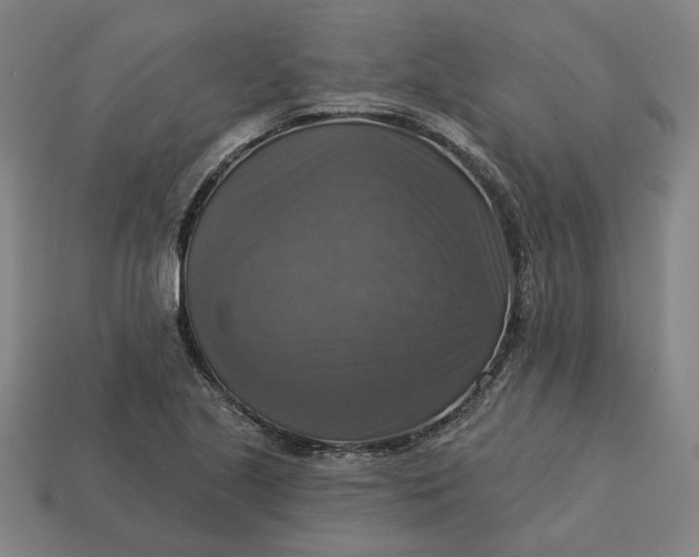 X0000113341221200910060951