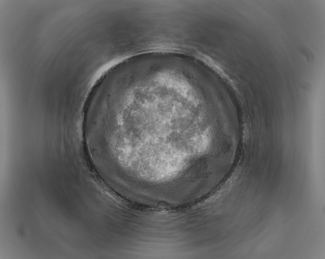 X0000113341222200910060951