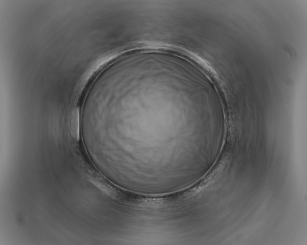 X0000113341223200910060951