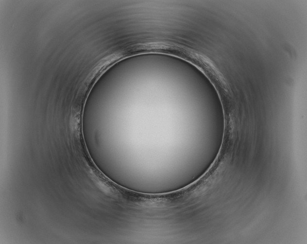 X0000113341225200910060951