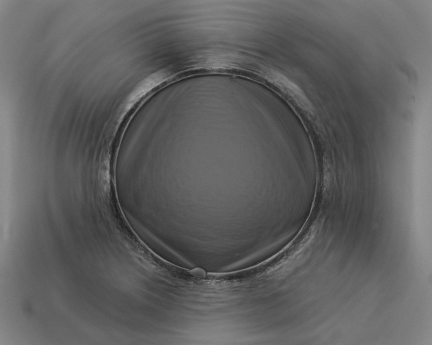 X0000113341226200910060951