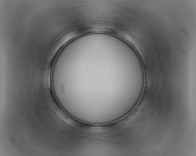 X0000113341227200910060951