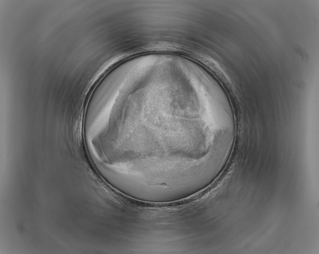 X0000113341228200910060951