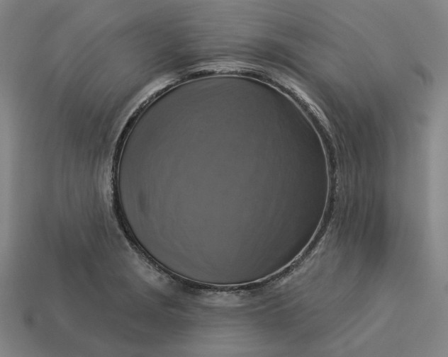 X0000113341229200910060951