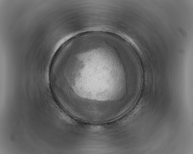 X0000113341230200910060951