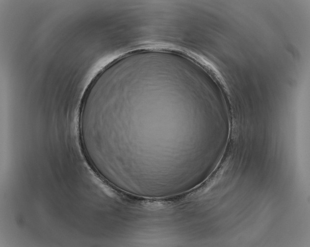 X0000113341231200910060951