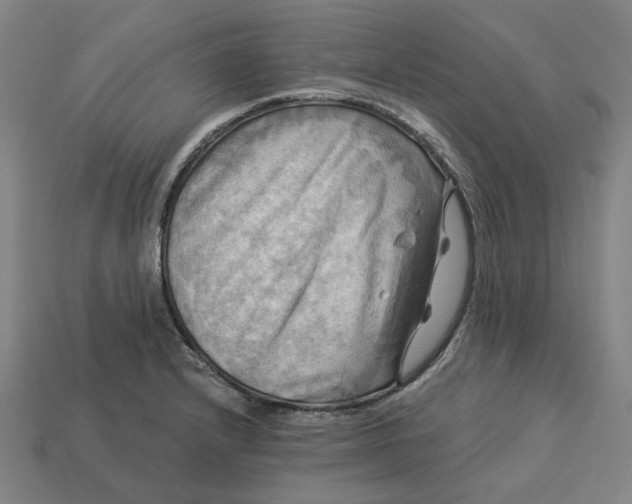 X0000113341232200910060951