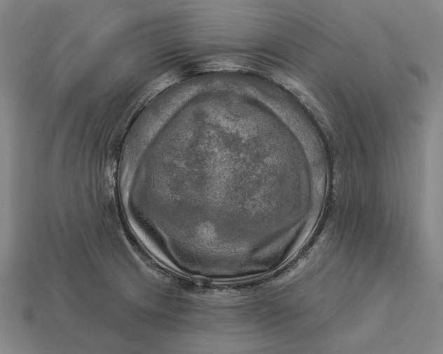 X0000113341233200910060951