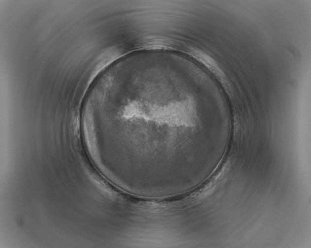 X0000113341234200910060951