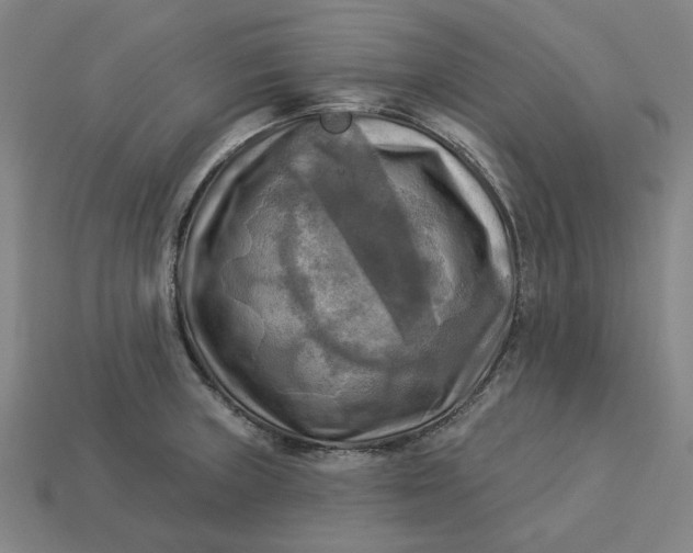 X0000113341235200910060951