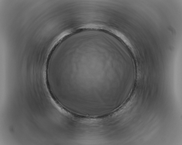 X0000113341237200910060951