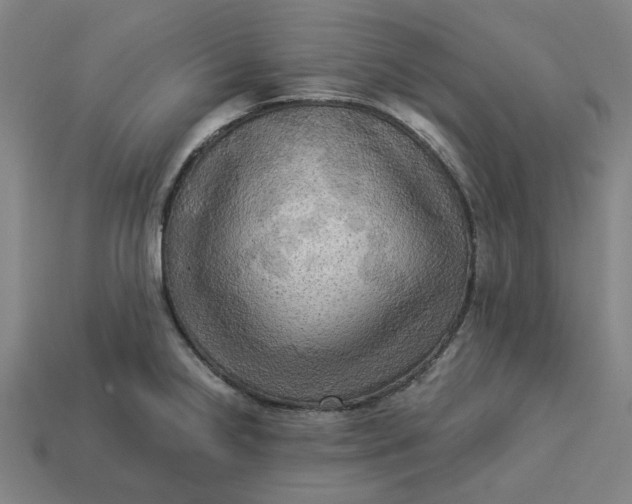 X0000113341238200910060951