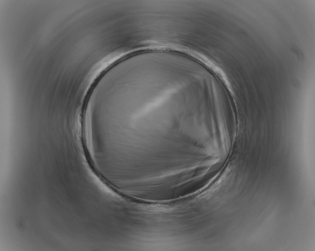 X0000113341239200910060951