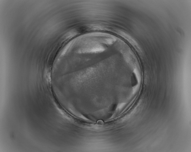 X0000113341241200910060951