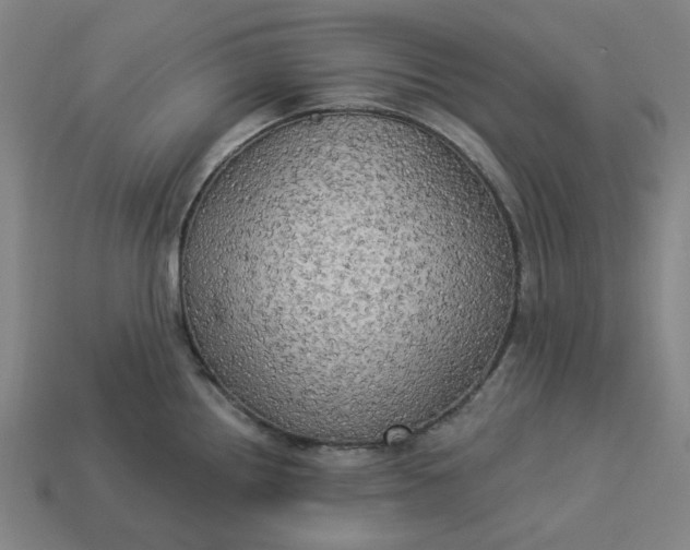 X0000113341242200910060951