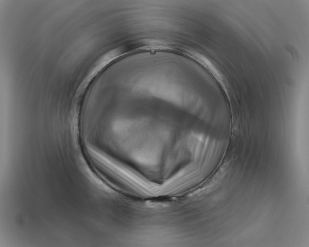 X0000113341243200910060951