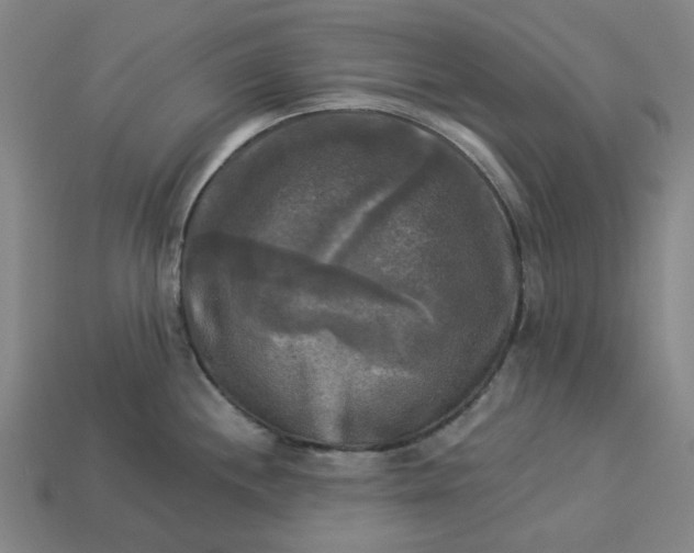 X0000113341244200910060951