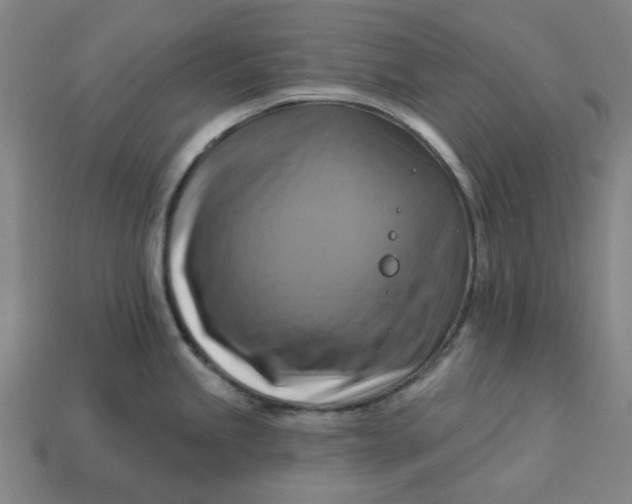 X0000113341245200910060951