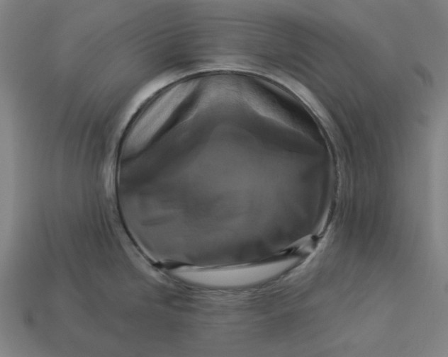 X0000113341246200910060951