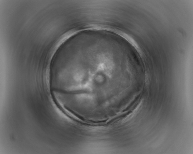 X0000113341247200910060951