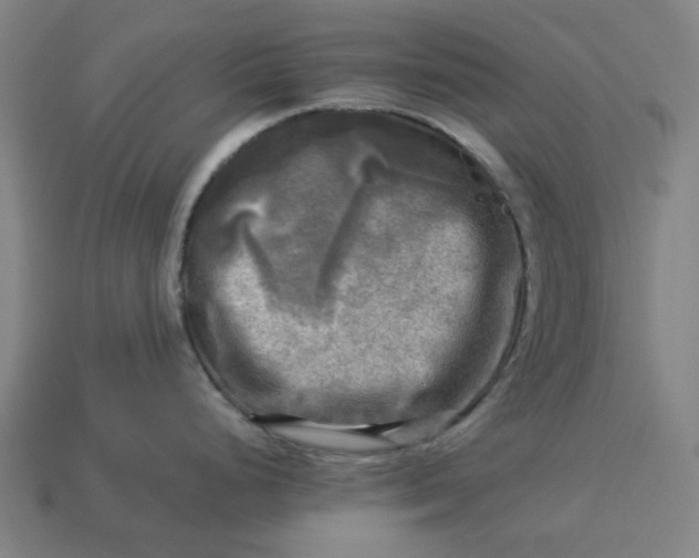 X0000113341248200910060951