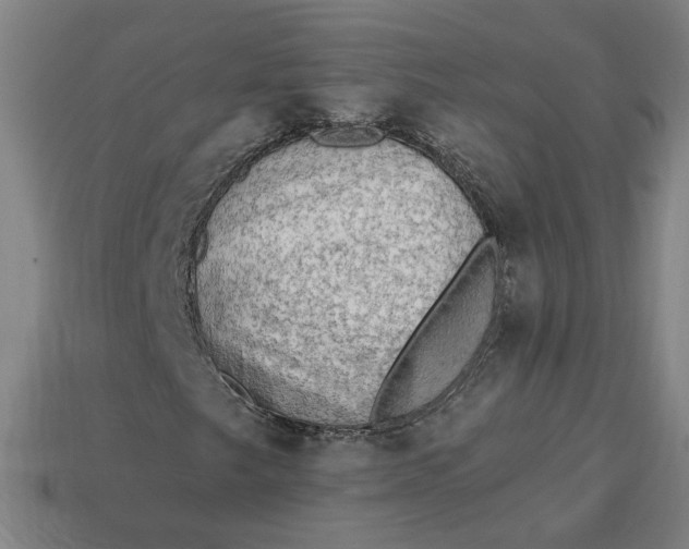 X0000113341249200910060950