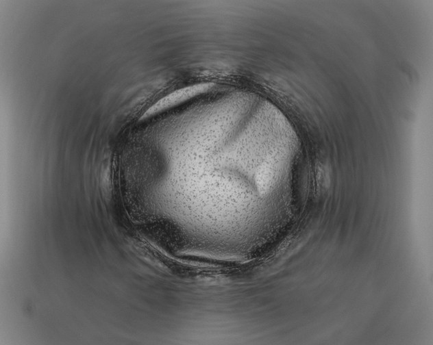 X0000113341250200910060950