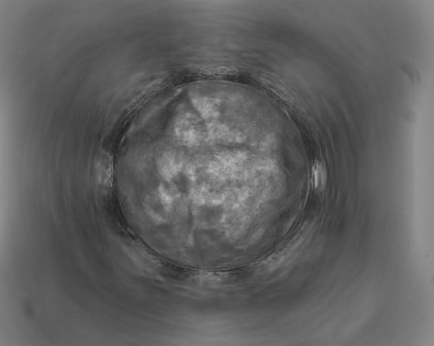 X0000113341251200910060950