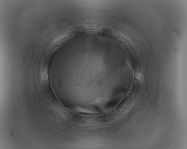 X0000113341252200910060950