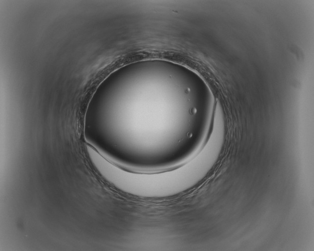 X0000113341253200910060950