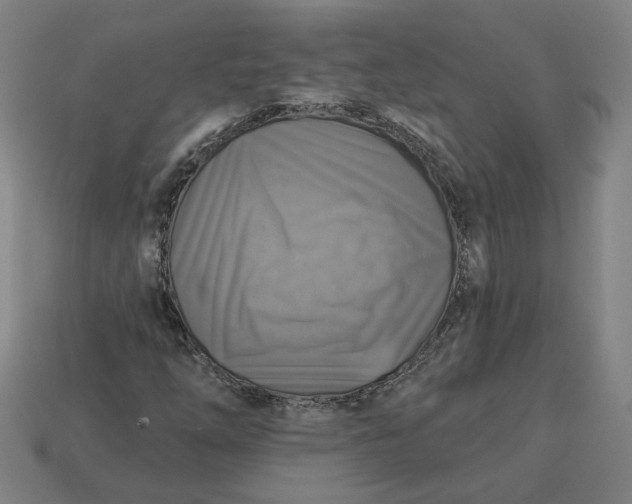 X0000113341254200910060950