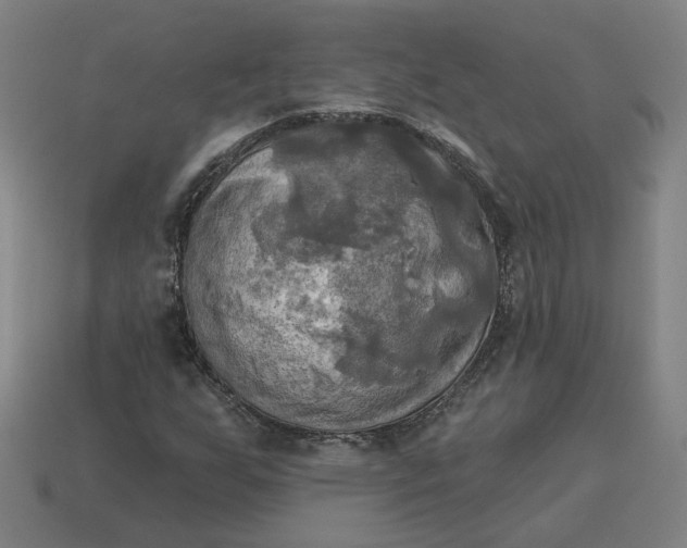 X0000113341255200910060950