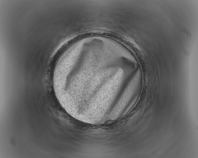 X0000113341256200910060950