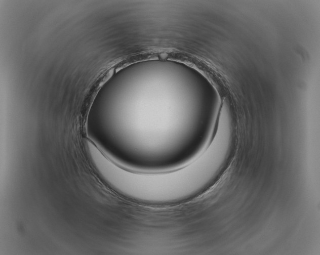 X0000113341257200910060950