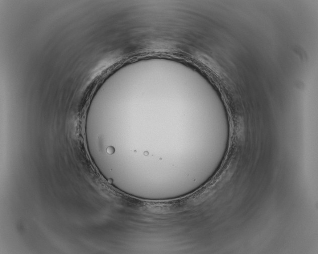 X0000113341258200910060950