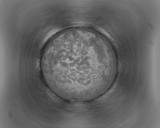 X0000113341259200910060950