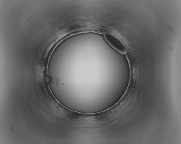 X0000113341260200910060950