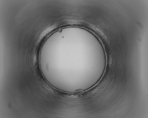 X0000113341261200910060950