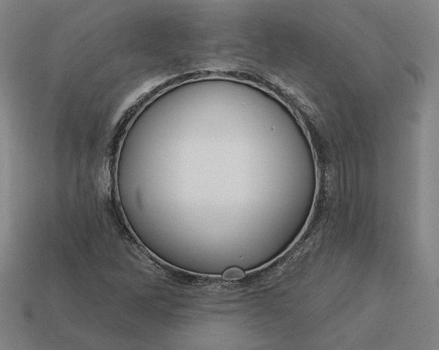 X0000113341262200910060950