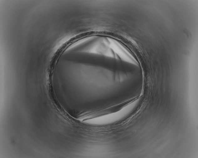 X0000113341263200910060950