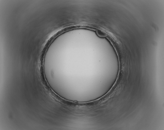 X0000113341264200910060950