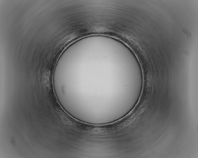 X0000113341265200910060950