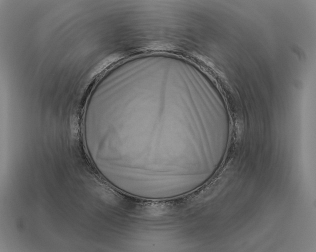 X0000113341266200910060950