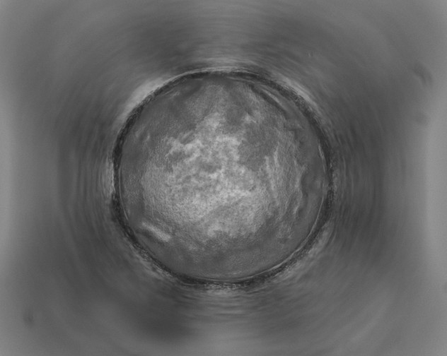 X0000113341267200910060950