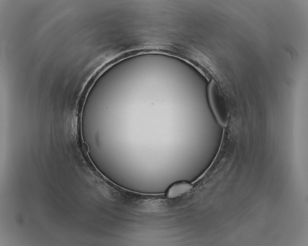 X0000113341268200910060950