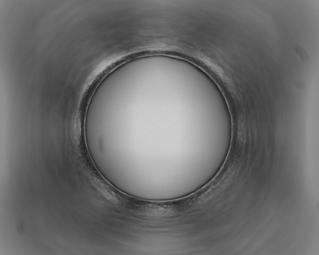 X0000113341270200910060950